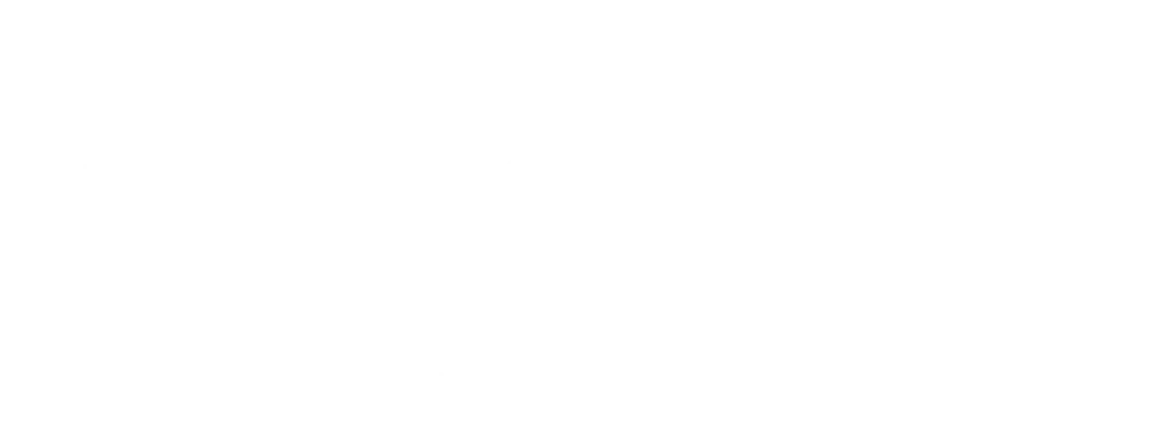 2 Dudes Moving logo