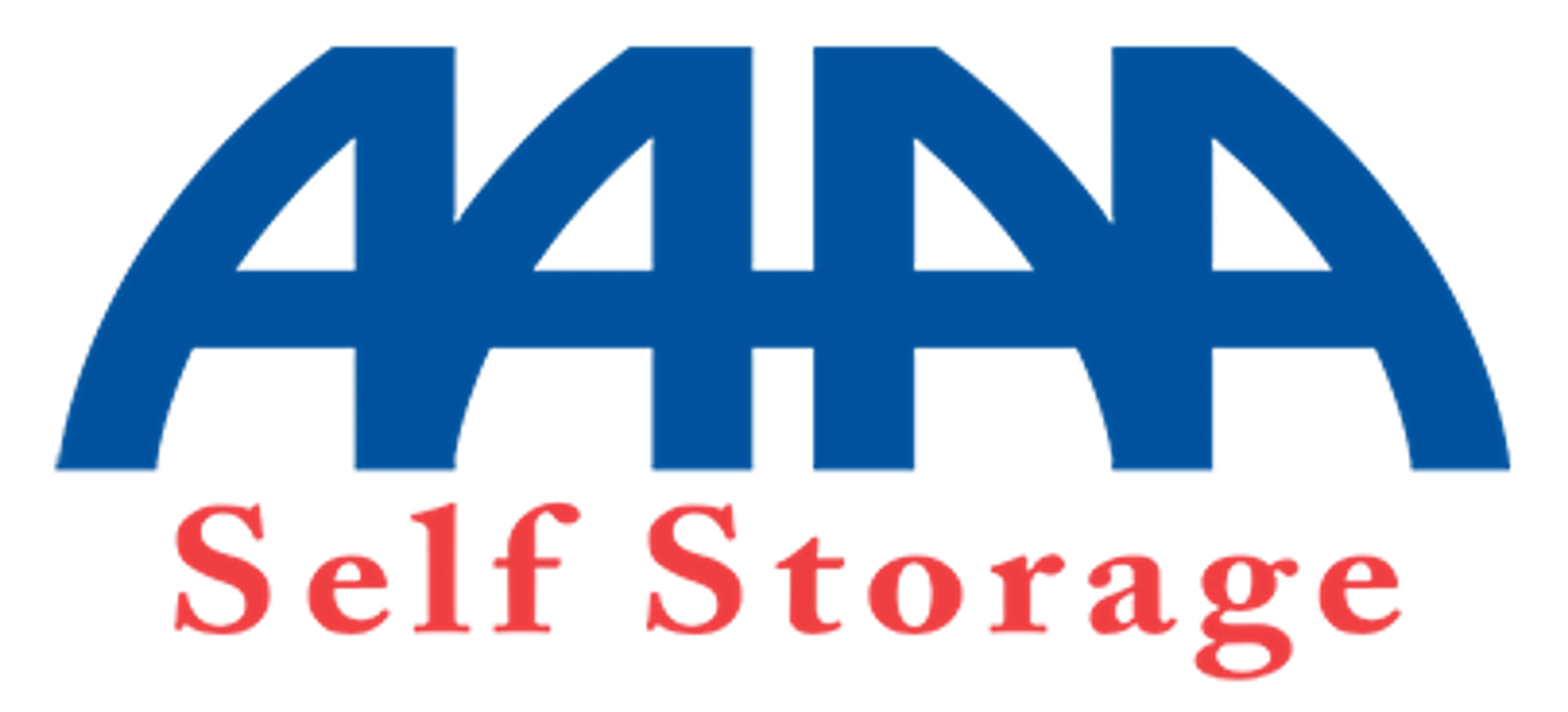 Platinum Storage logo