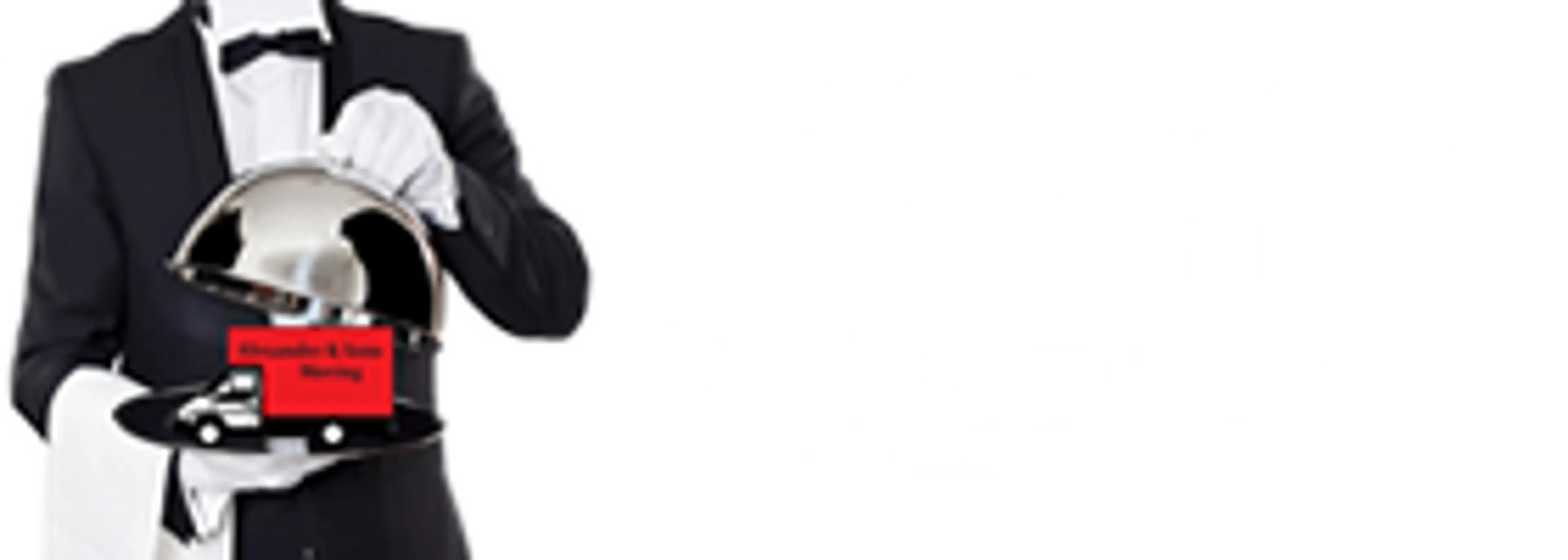 Alexander & Sons Moving logo