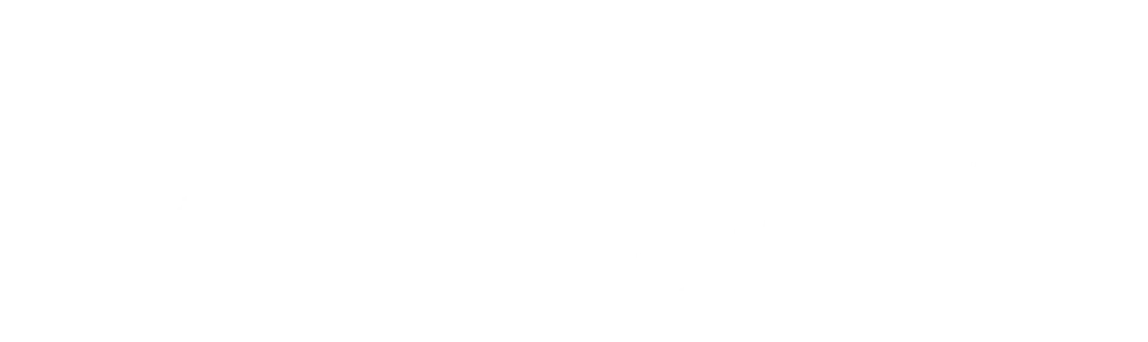 Always Professional Moving logo