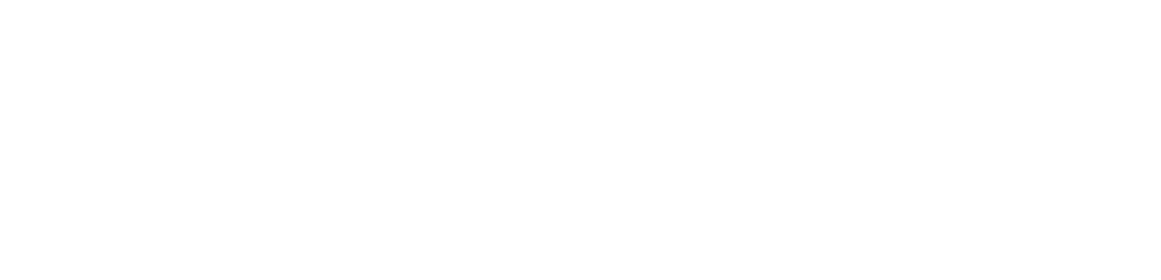 Bernard Movers logo