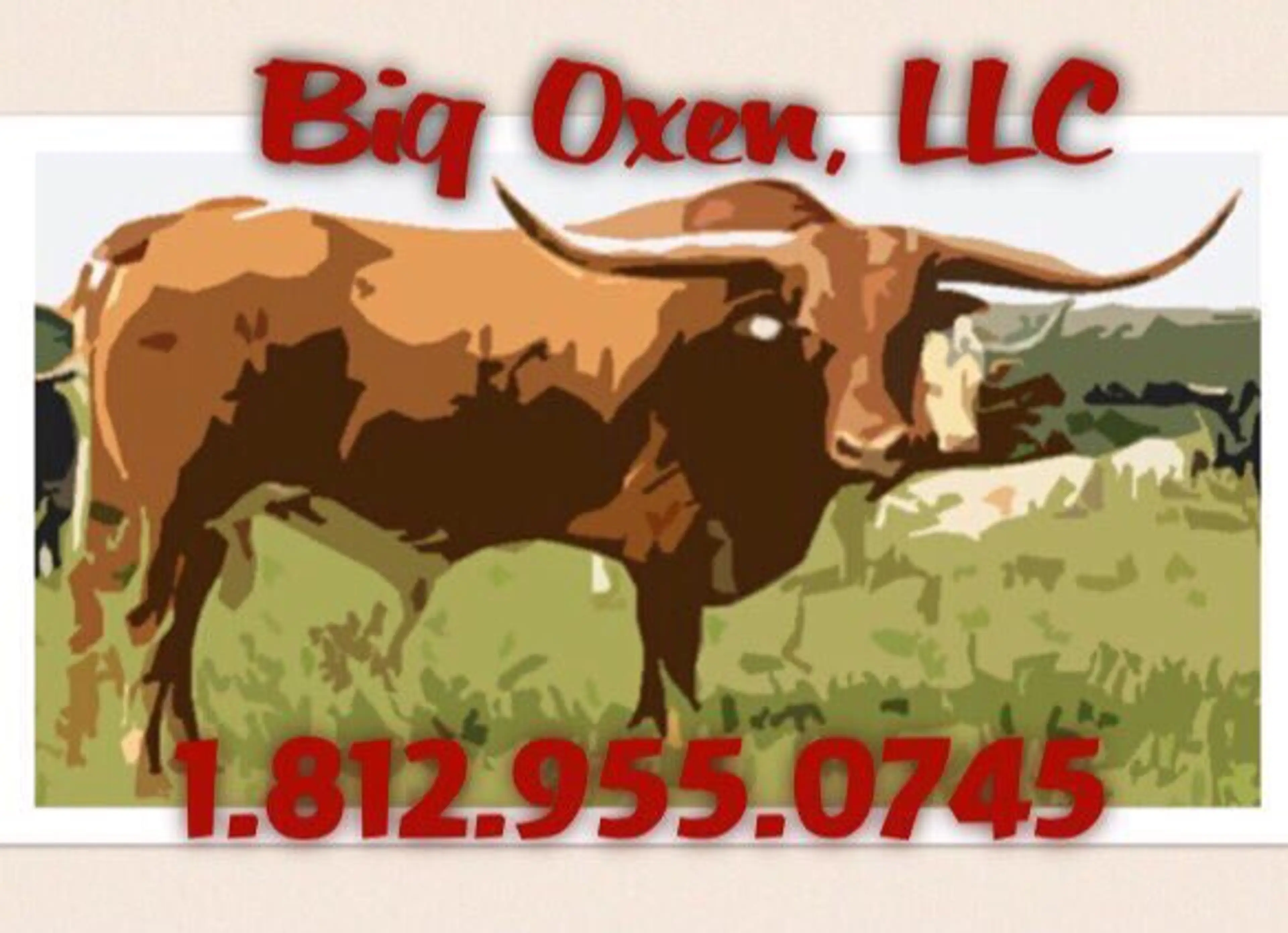 Big Oxen Cleaners & Movers logo