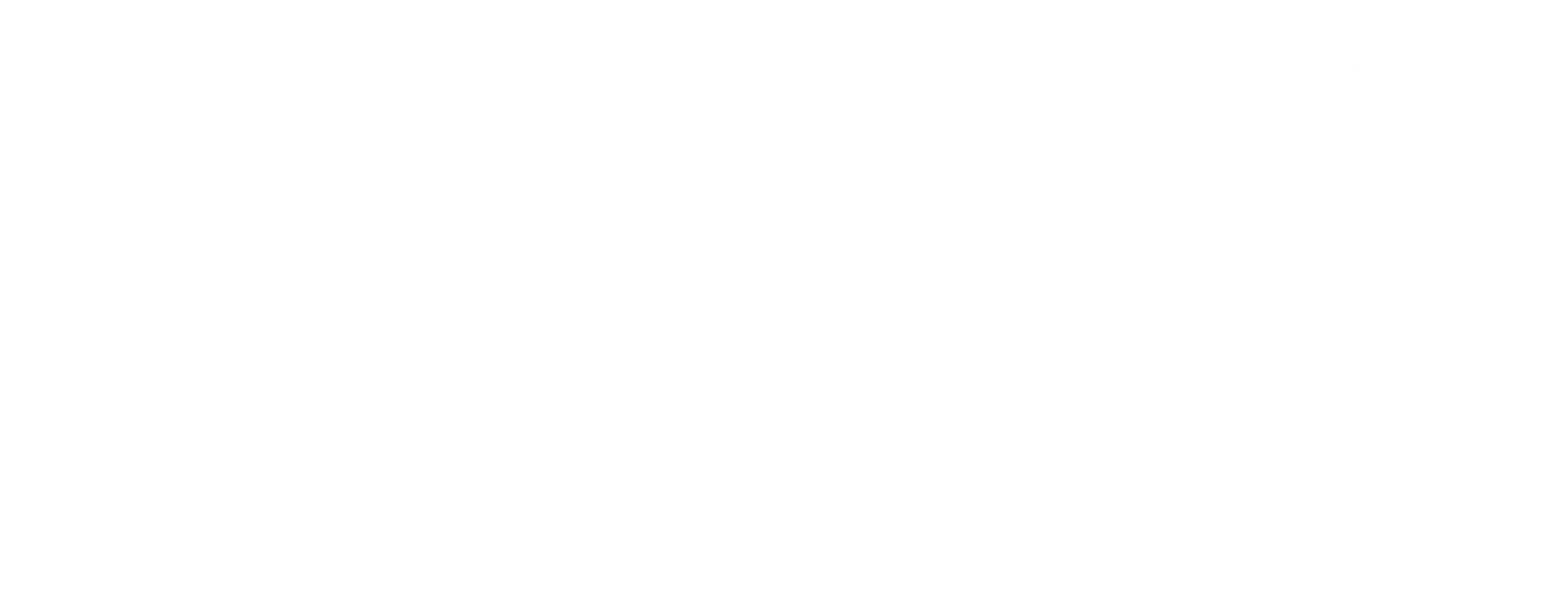 Bos Moving & Service logo