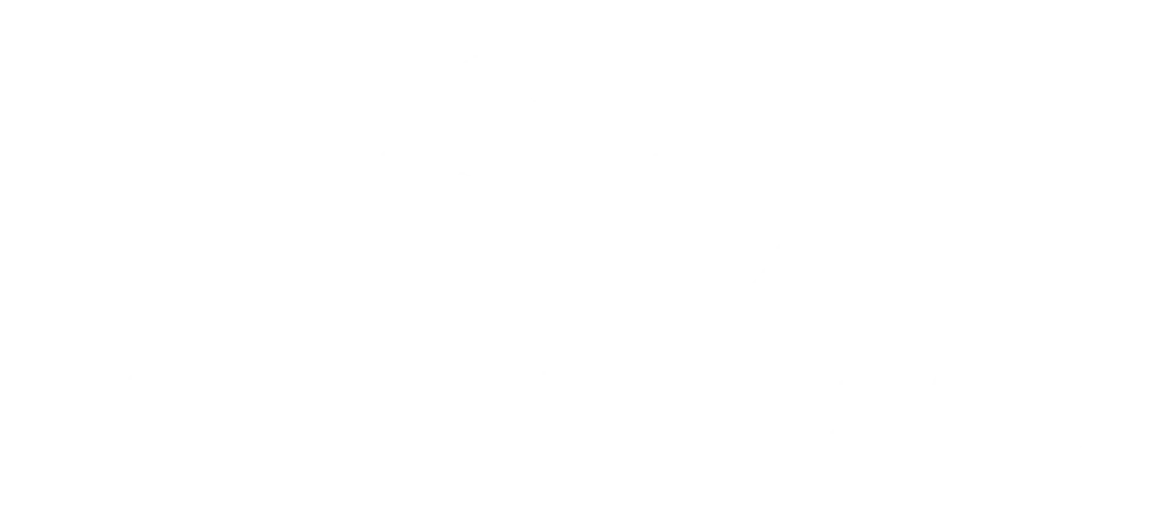 Boulder Valley Transfer Moving logo