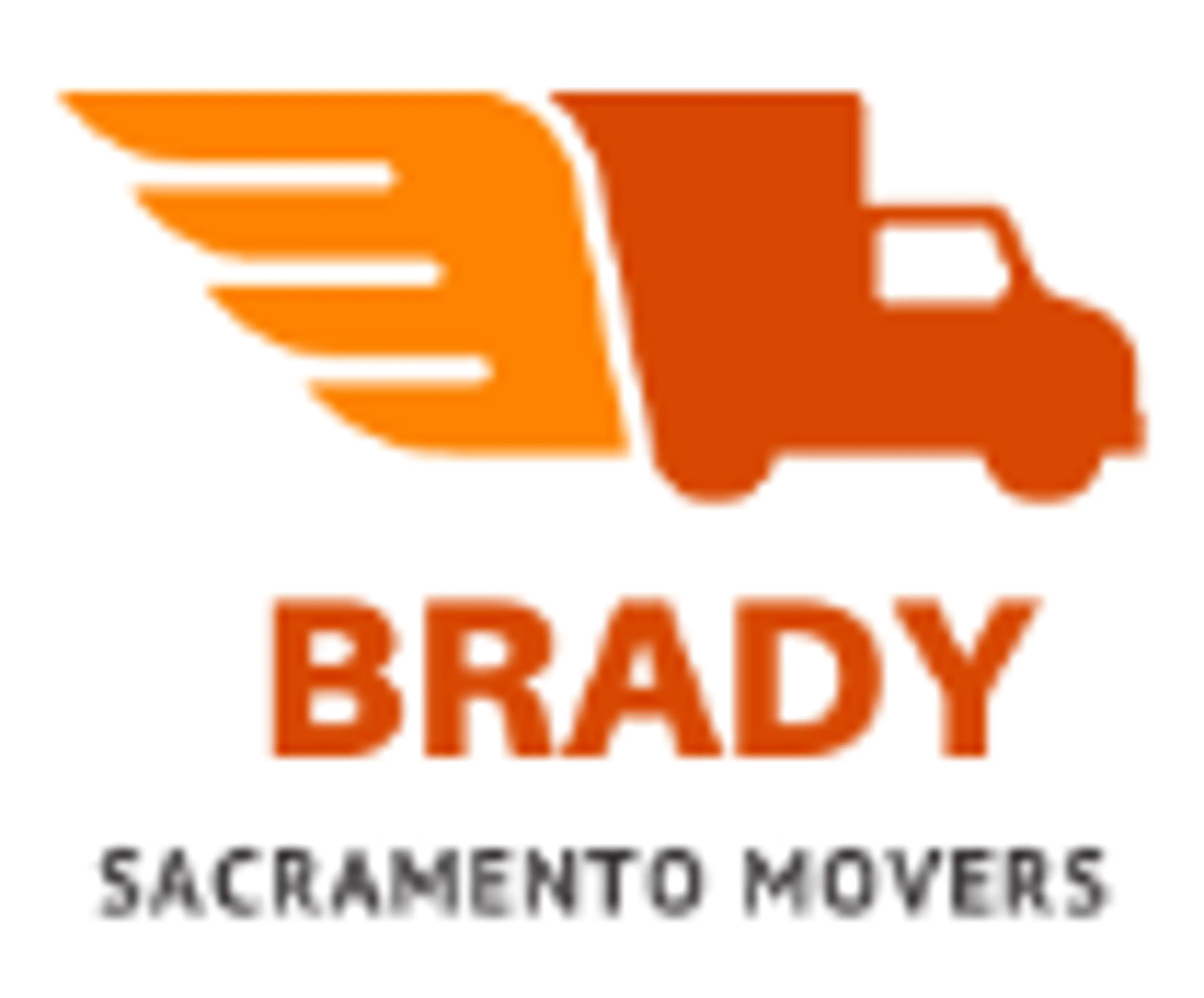 Brady N Brady Llc logo