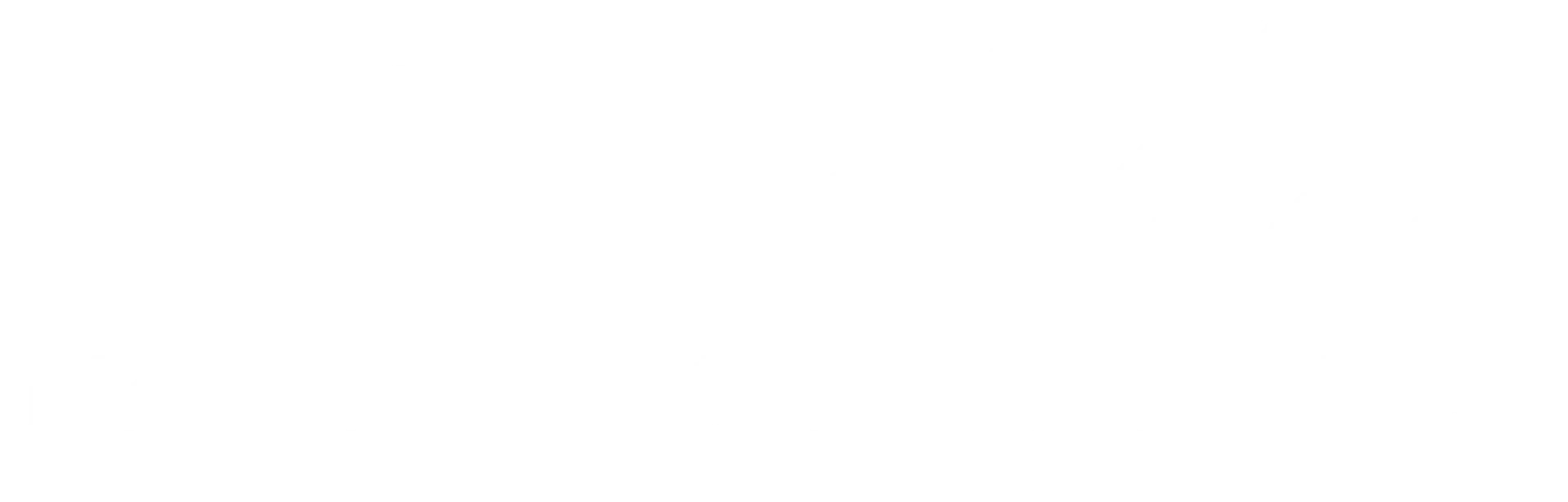 Brady's Moving & Storage, Inc. logo