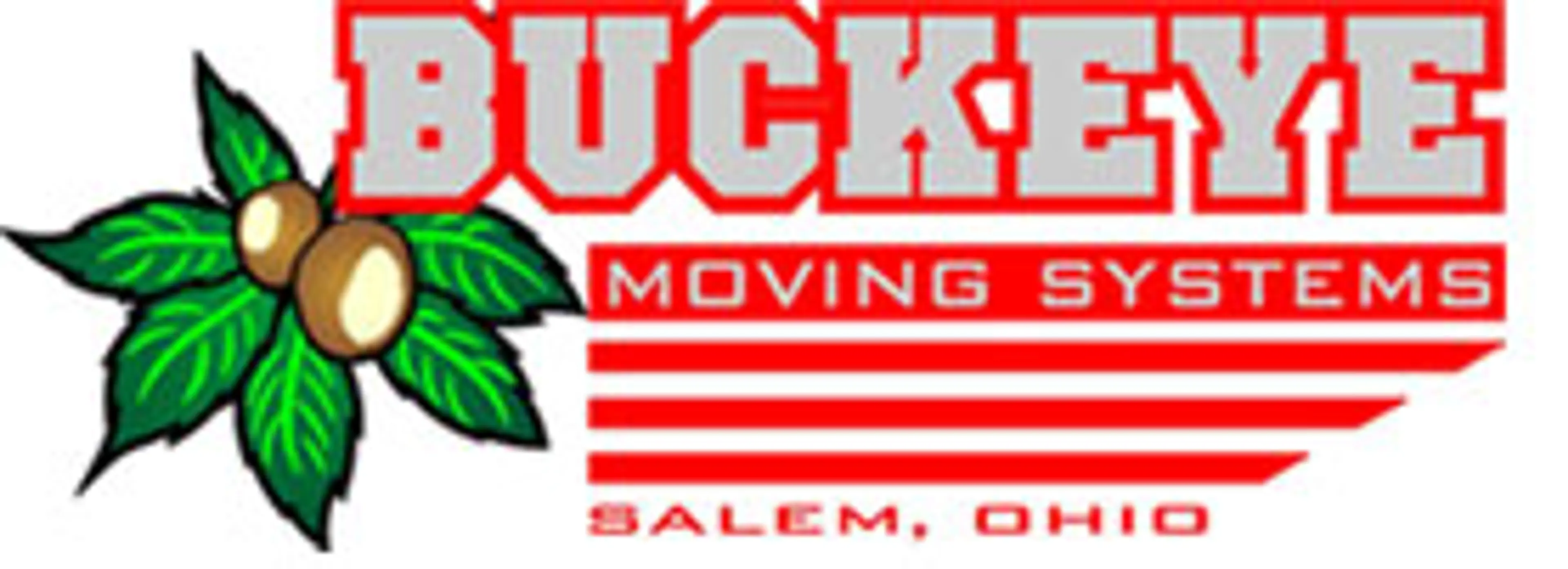 Buckeye Moving Systems  logo