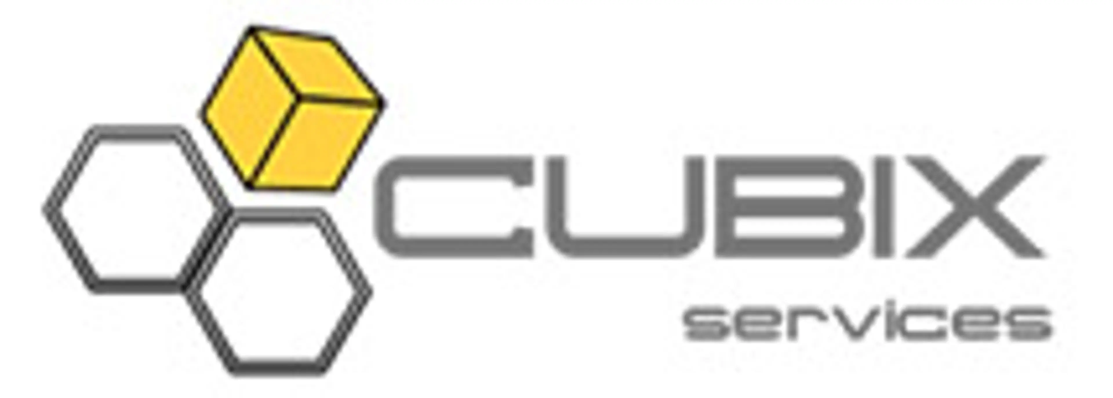 Cubix Services Inc logo