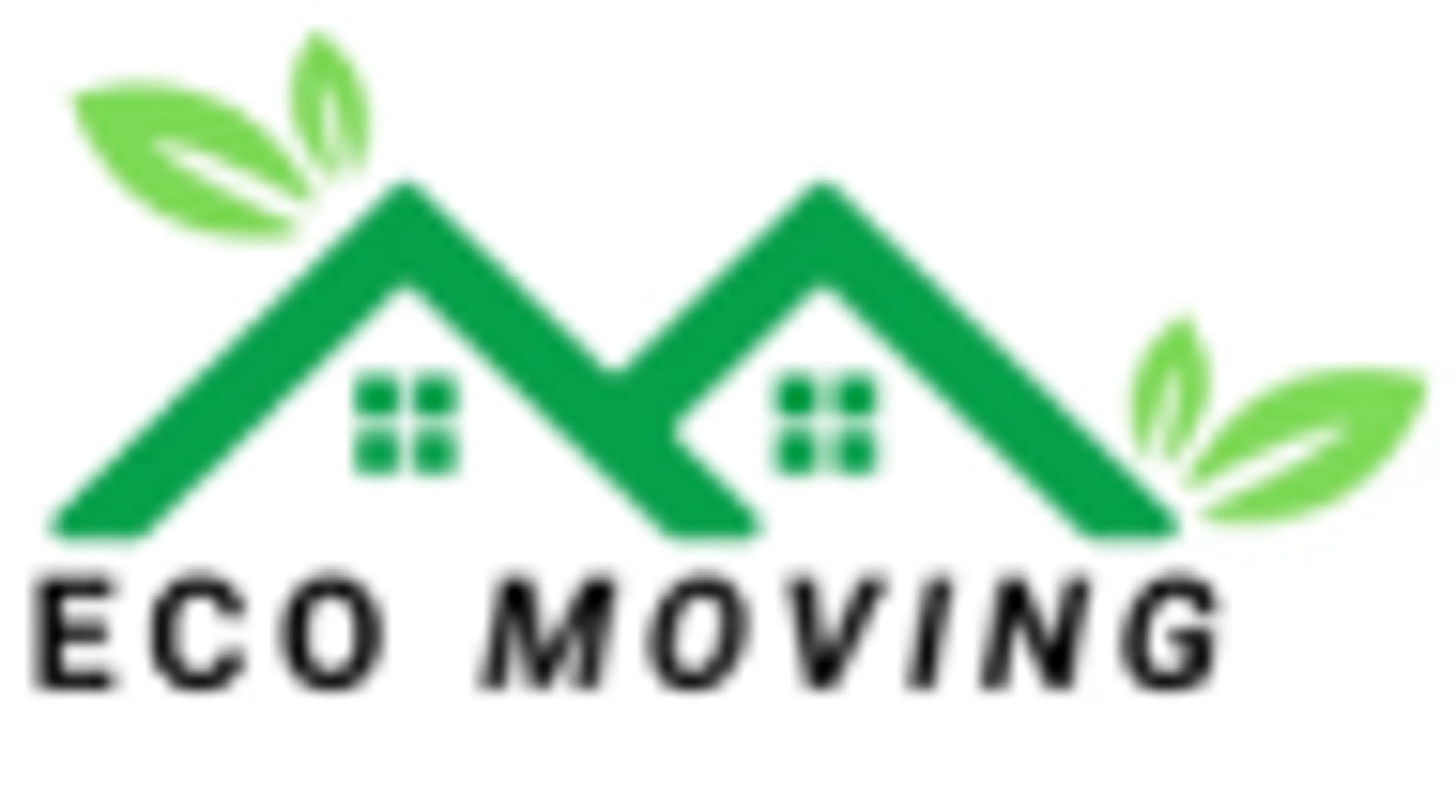 Eco Moving and Storage logo