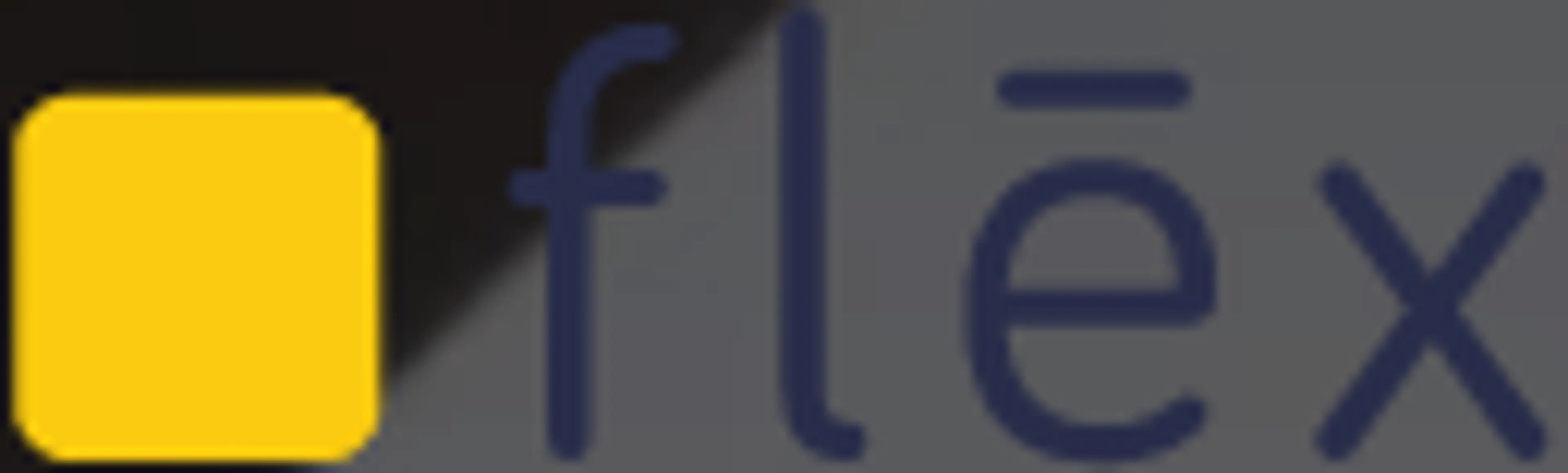 Flex Storage logo