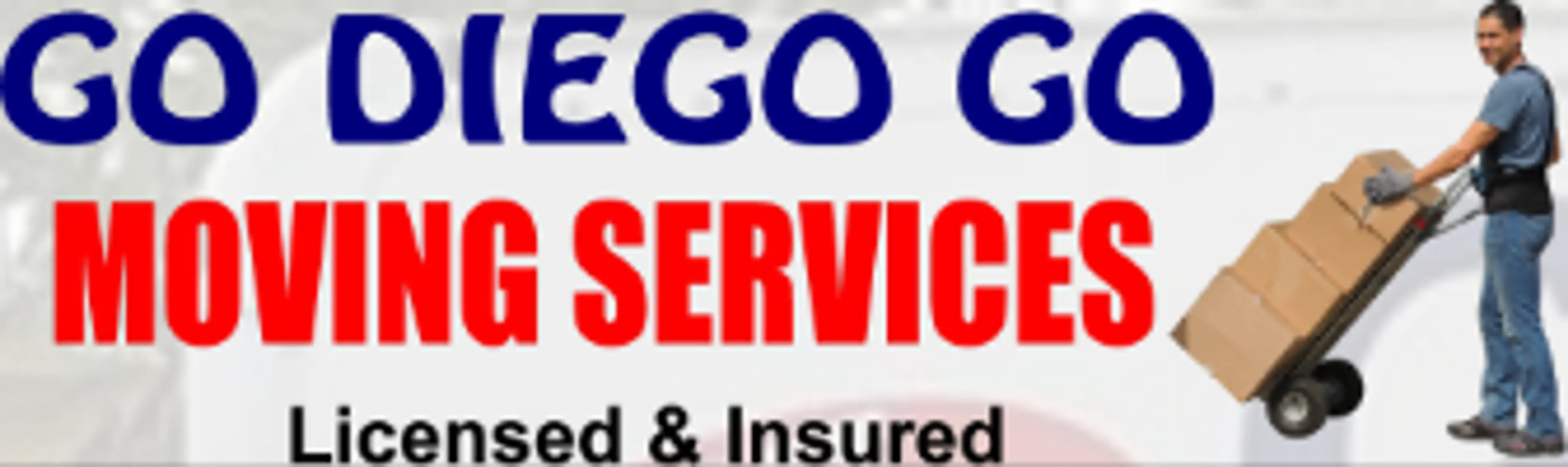 Go Diego Go Services Llc logo