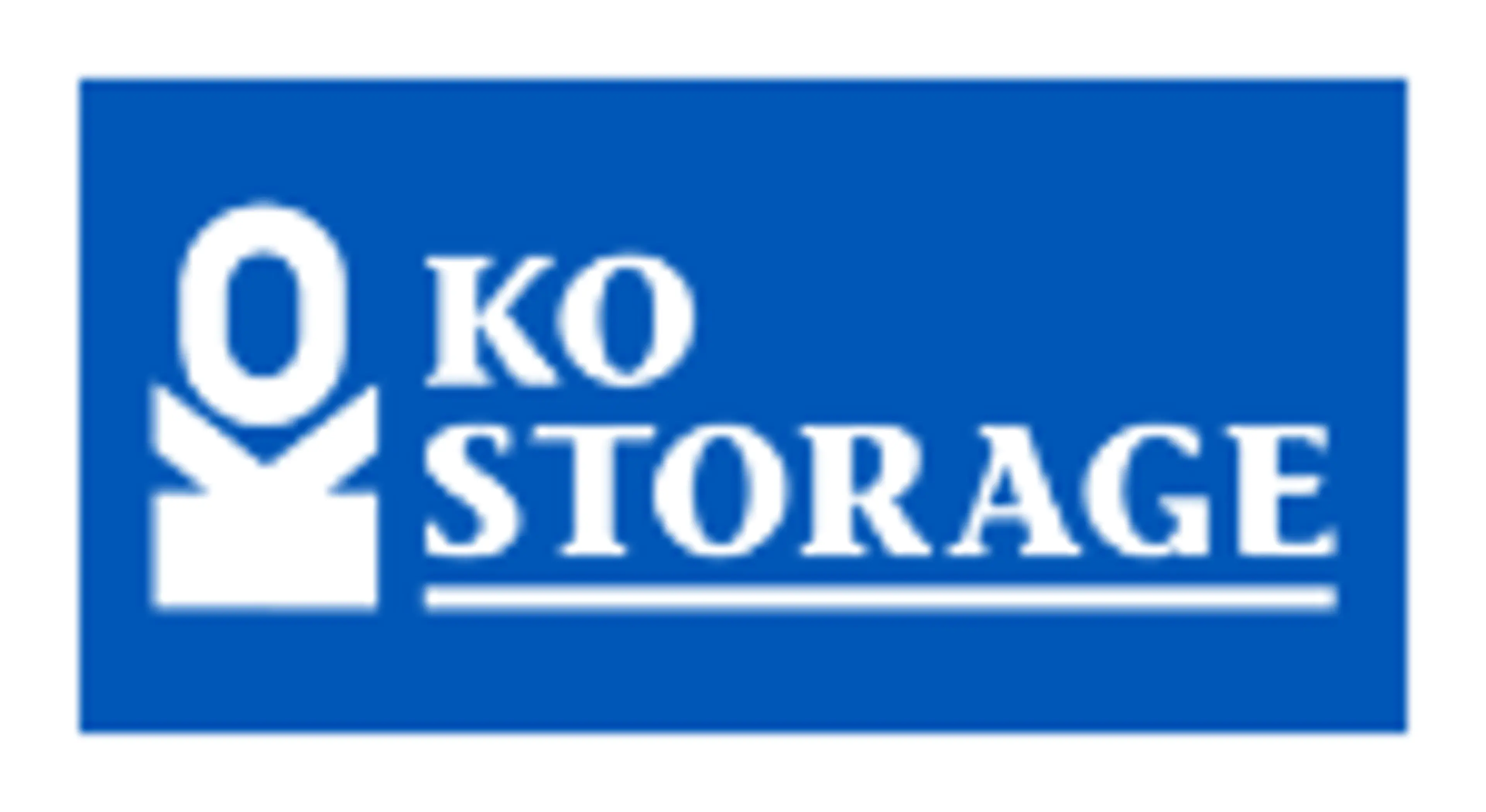 Diamond Storage logo