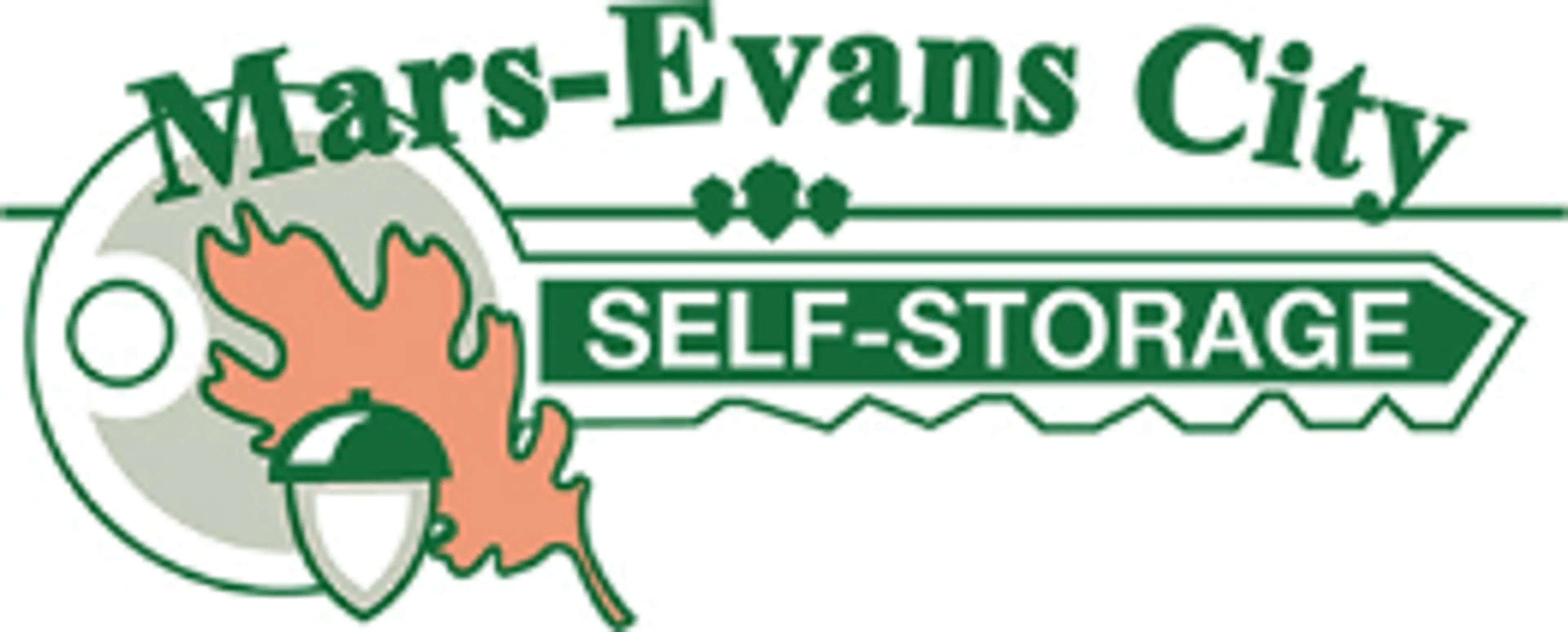 Mars-Evans City Self Storage logo