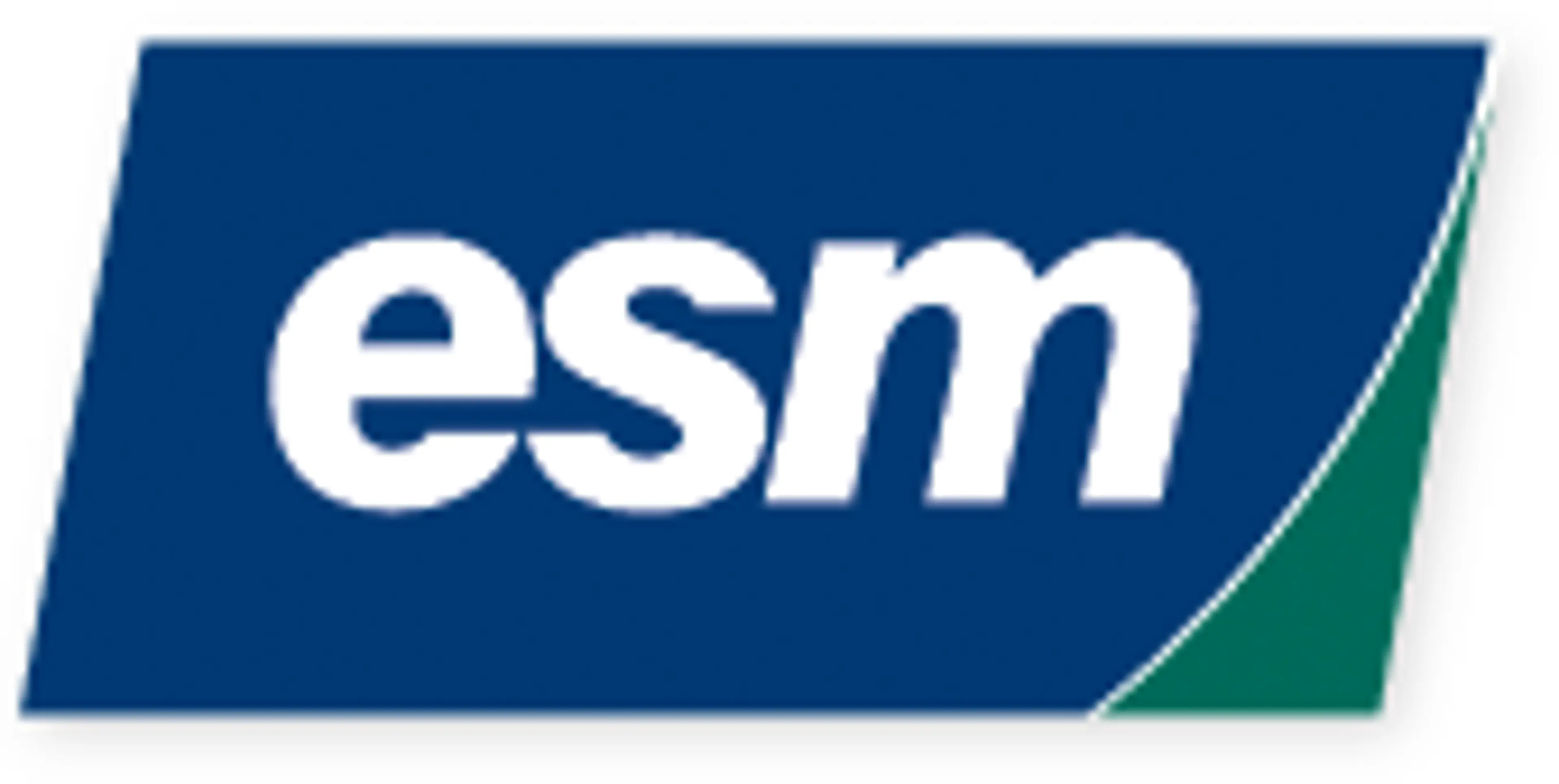 ESM Van & Storage logo