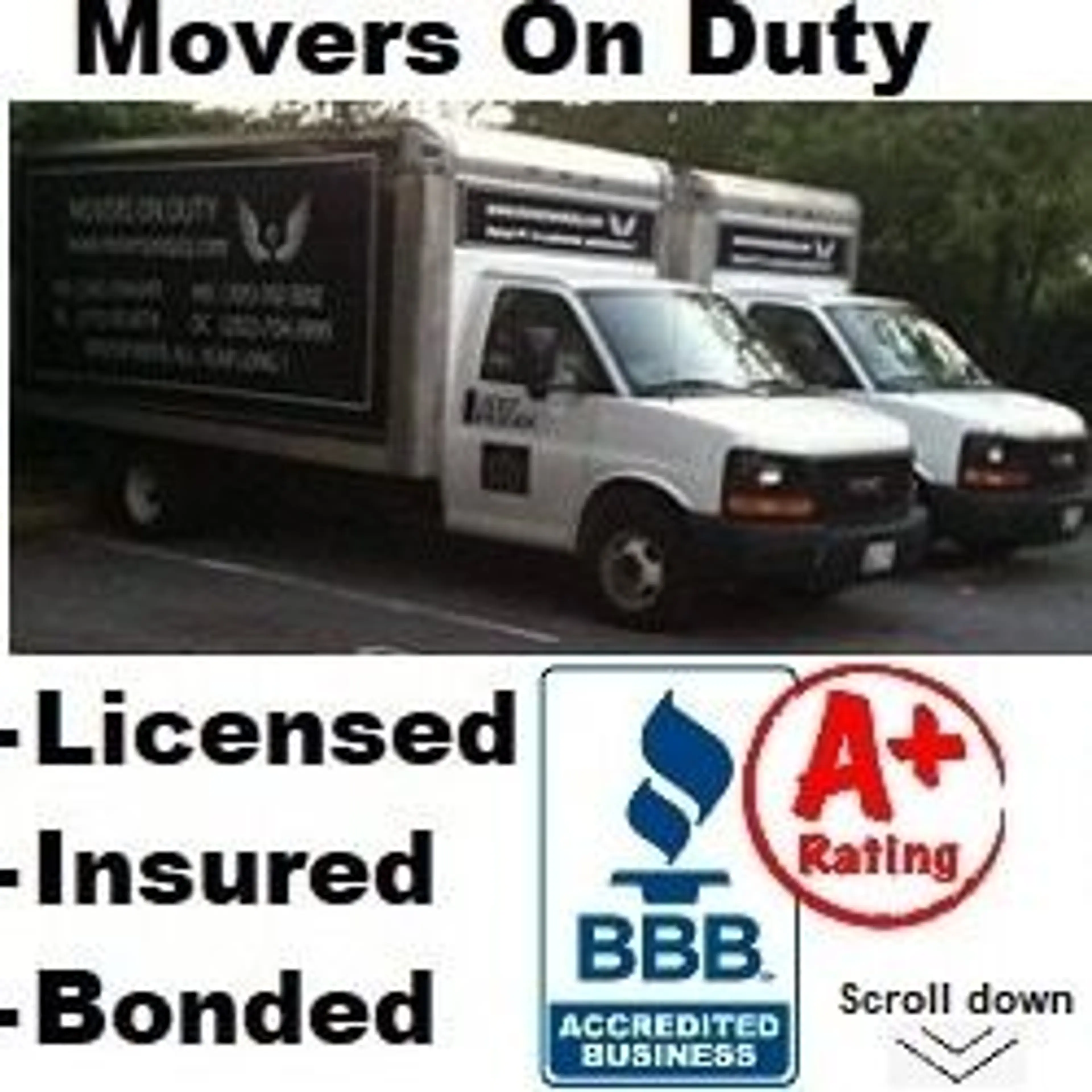 Movers On Duty logo