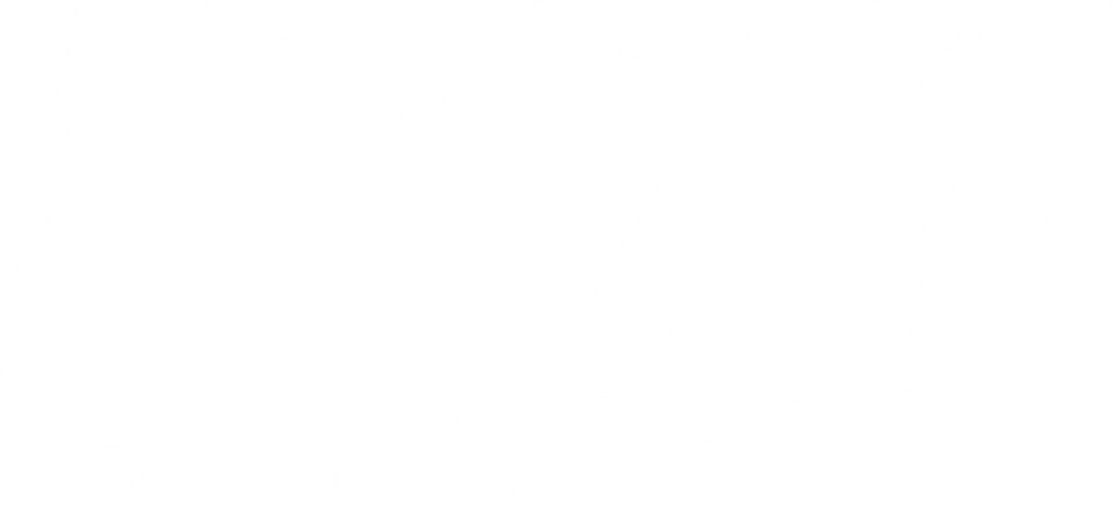 MVM Moving & Storage logo