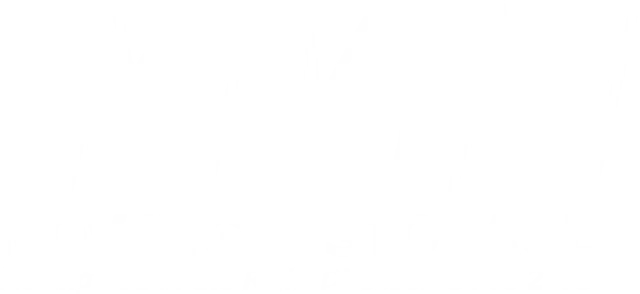 MVM Moving & Storage Logo