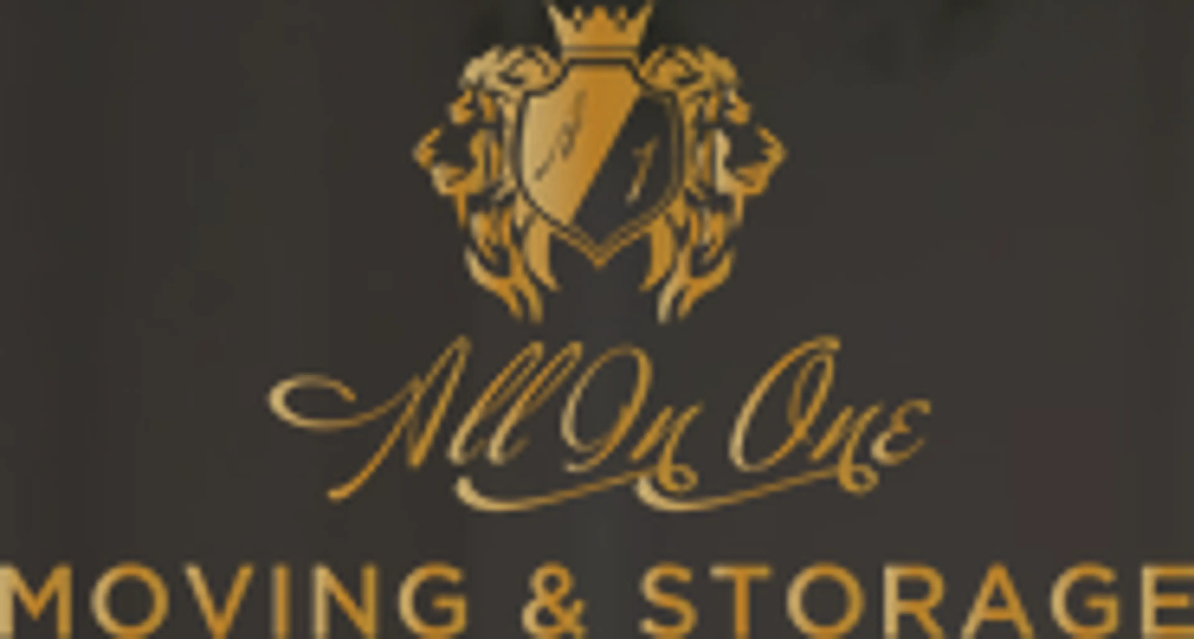 All In One Moving & Storage logo