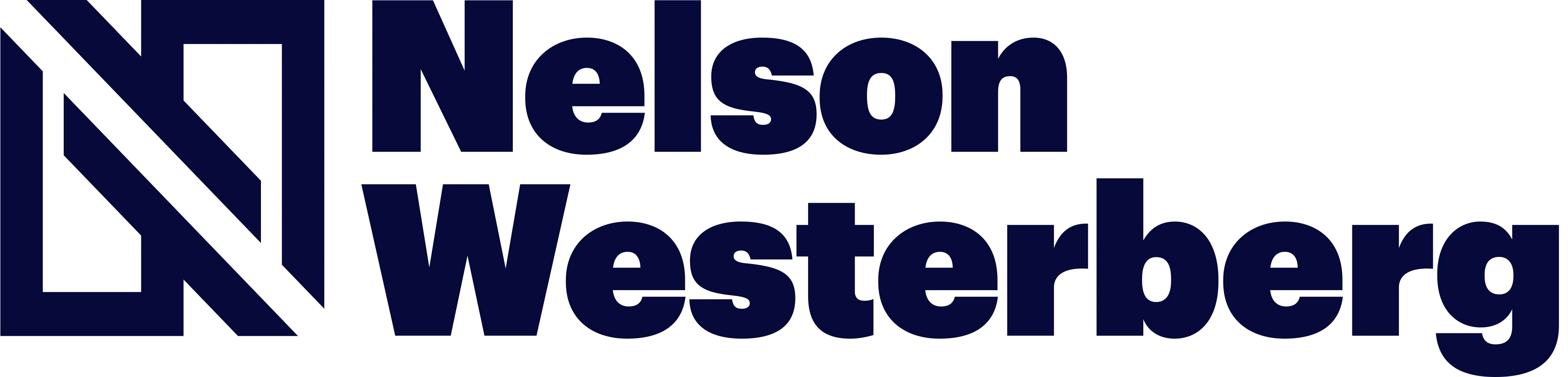 Nelson Westerberg Texas logo