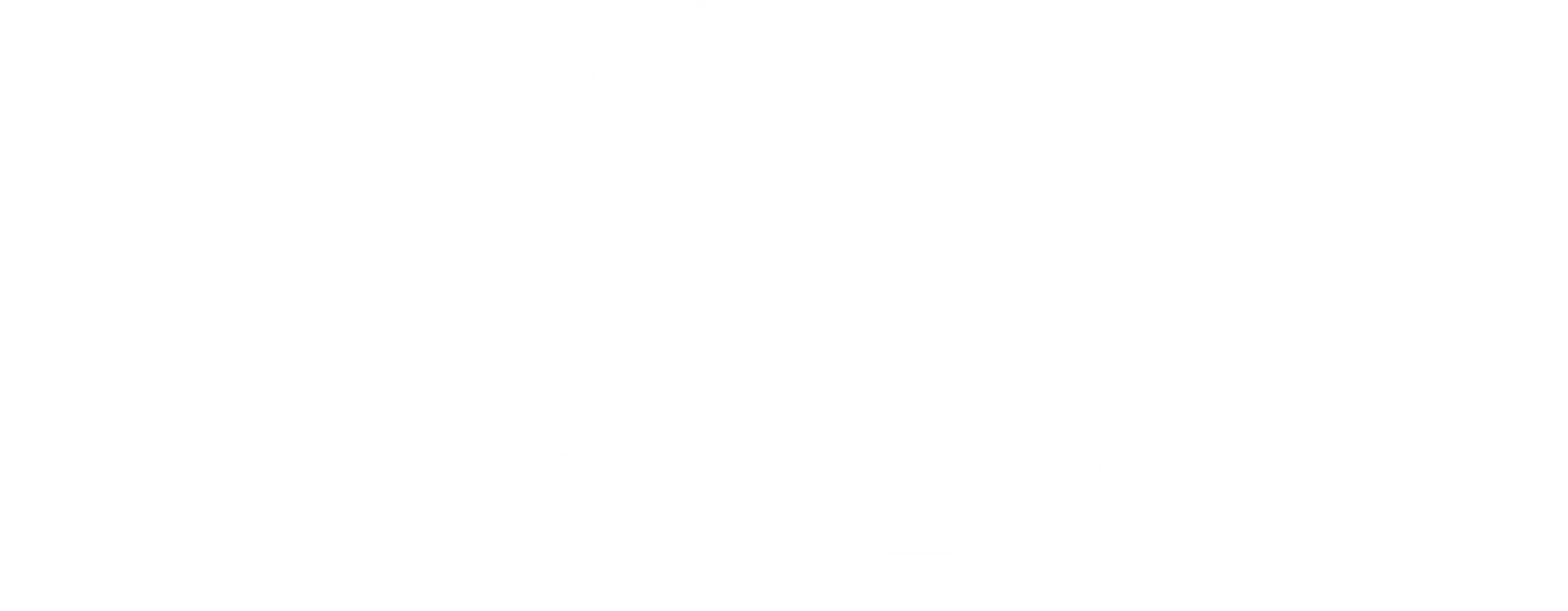 N L Wilson Moving & Storage logo