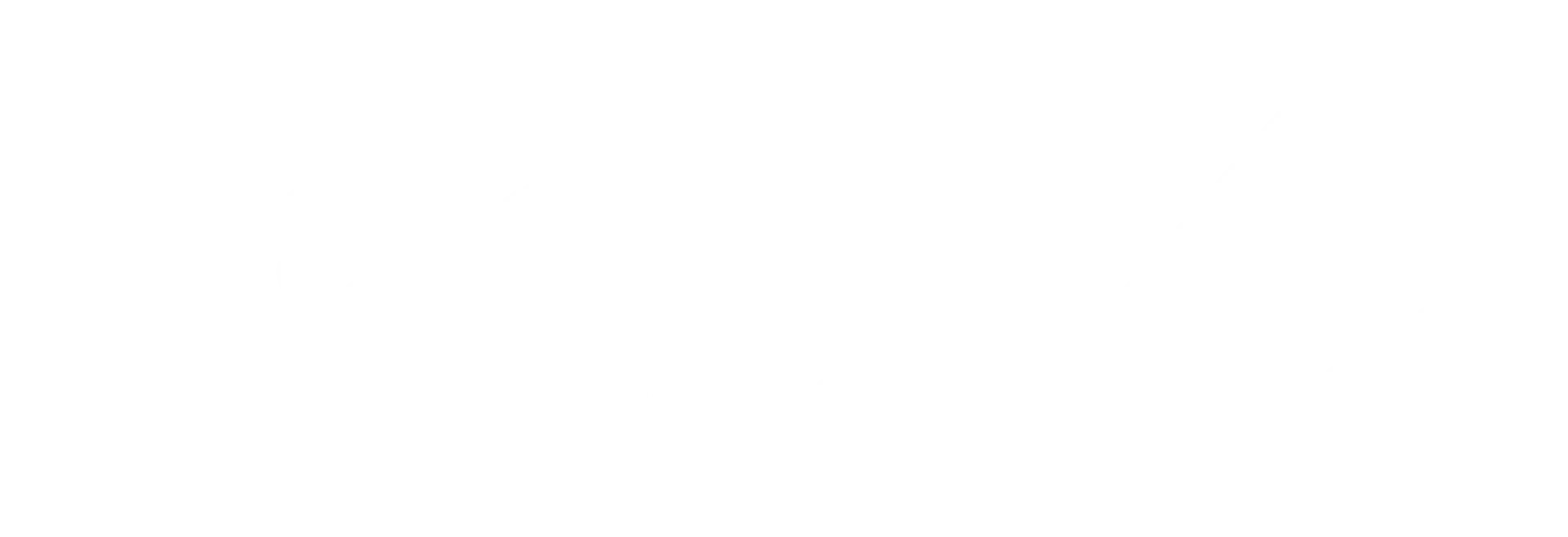 Paragon Moving & Storage logo