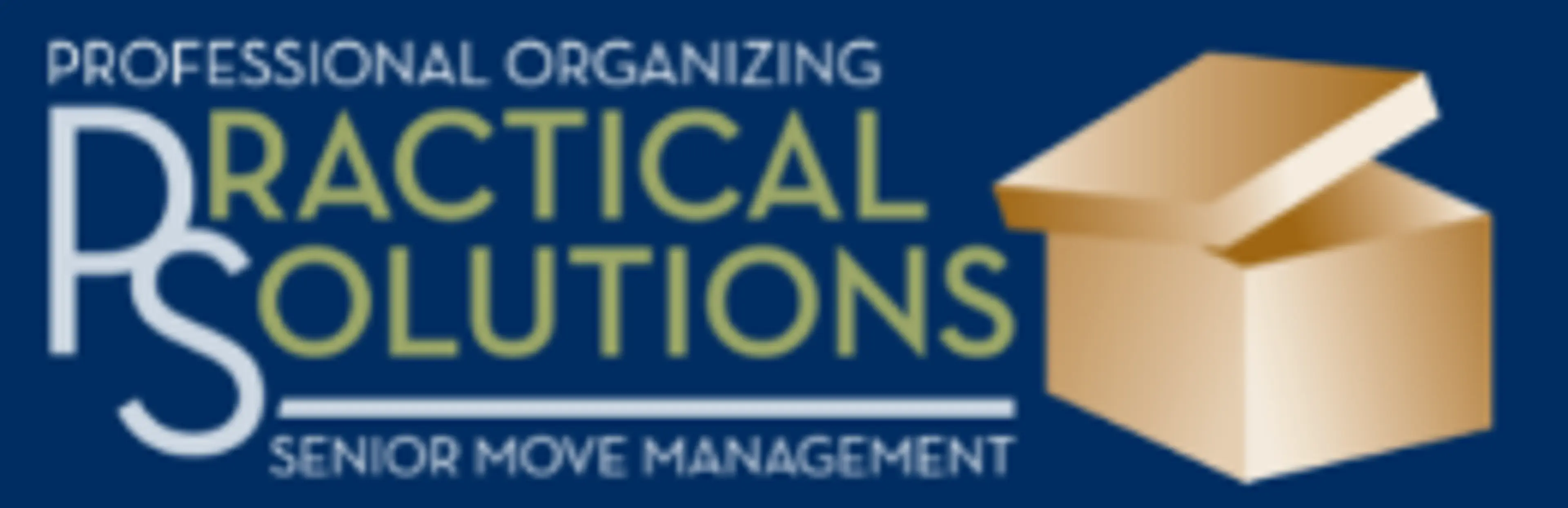 Practical Solutions logo