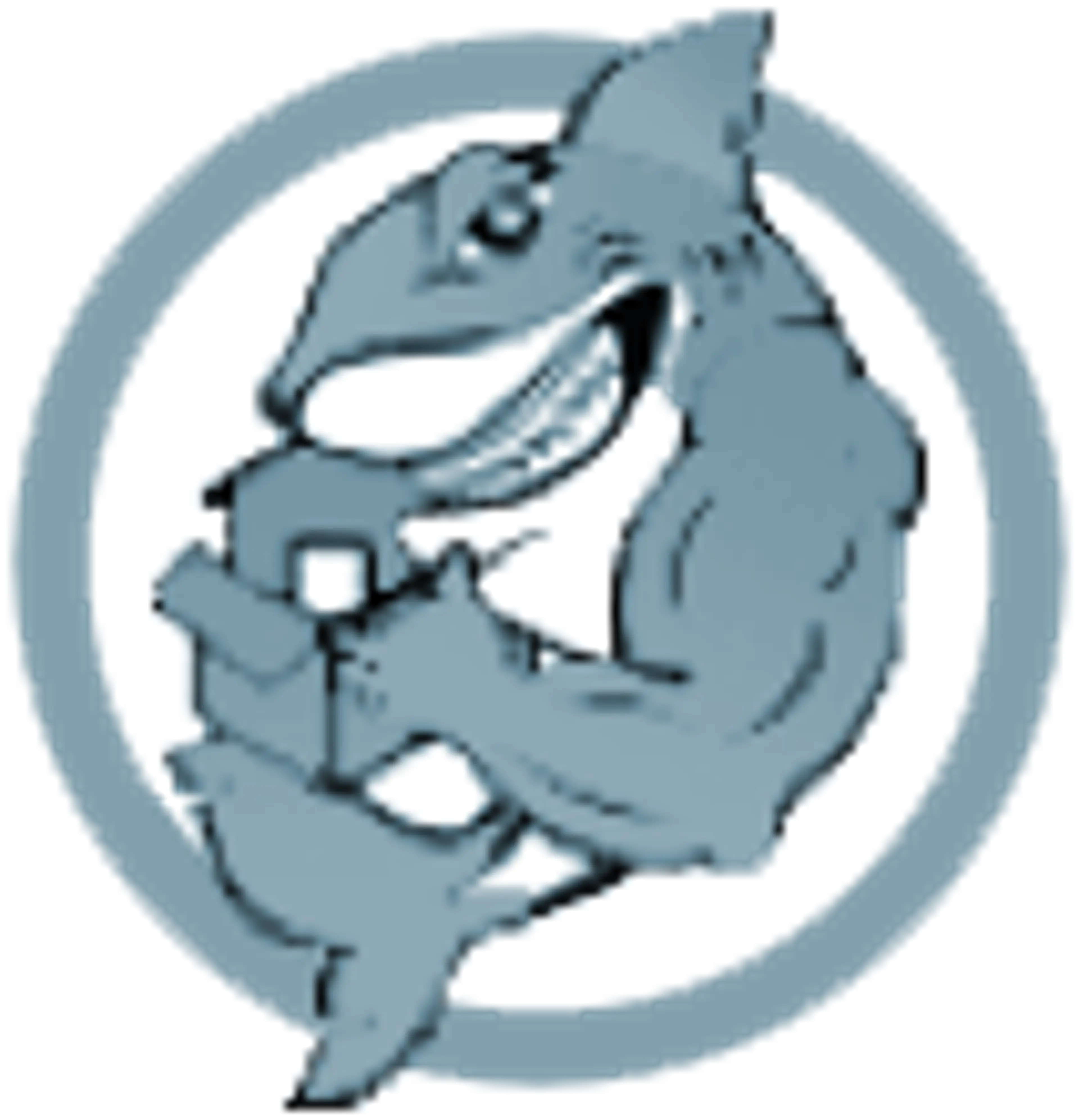 Qshark Moving Company logo