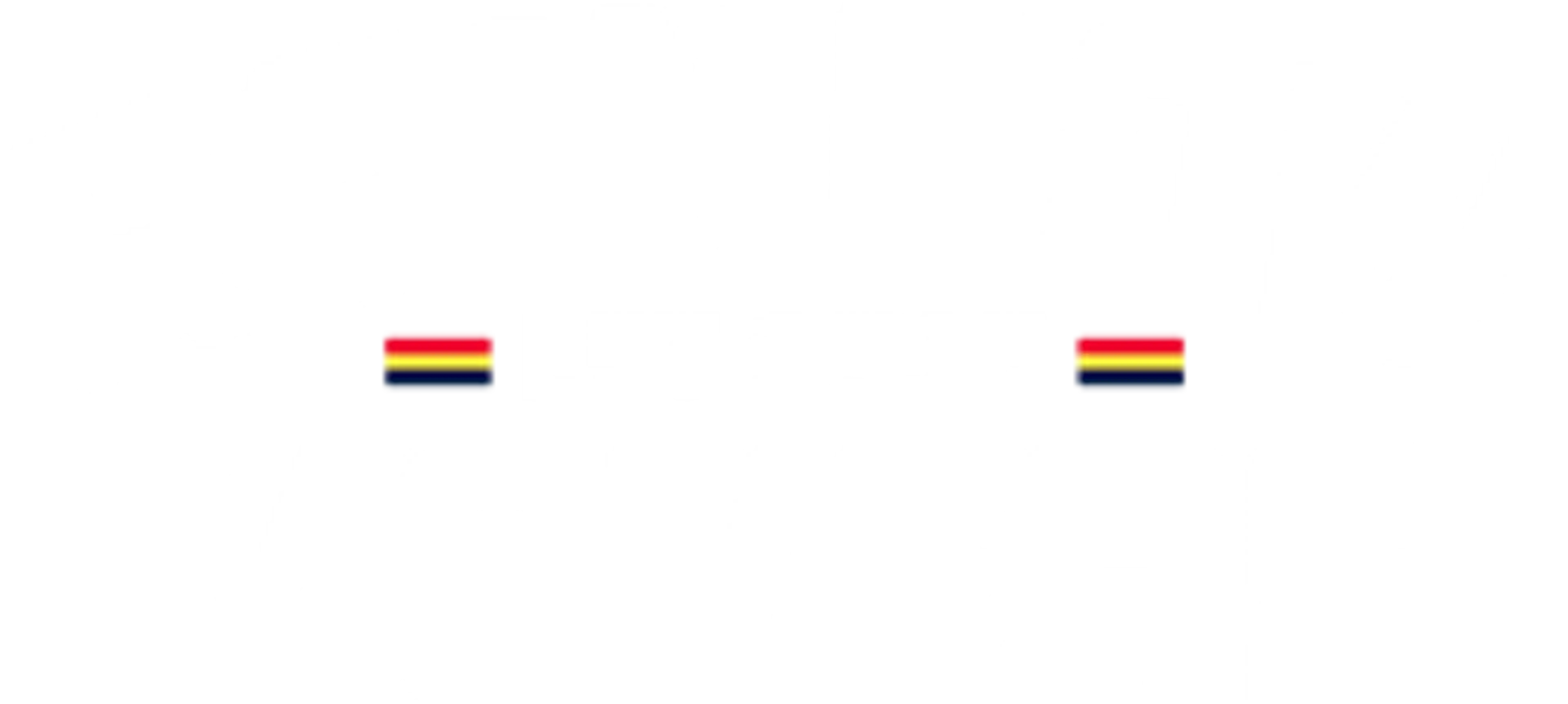 Rainbow Movers logo