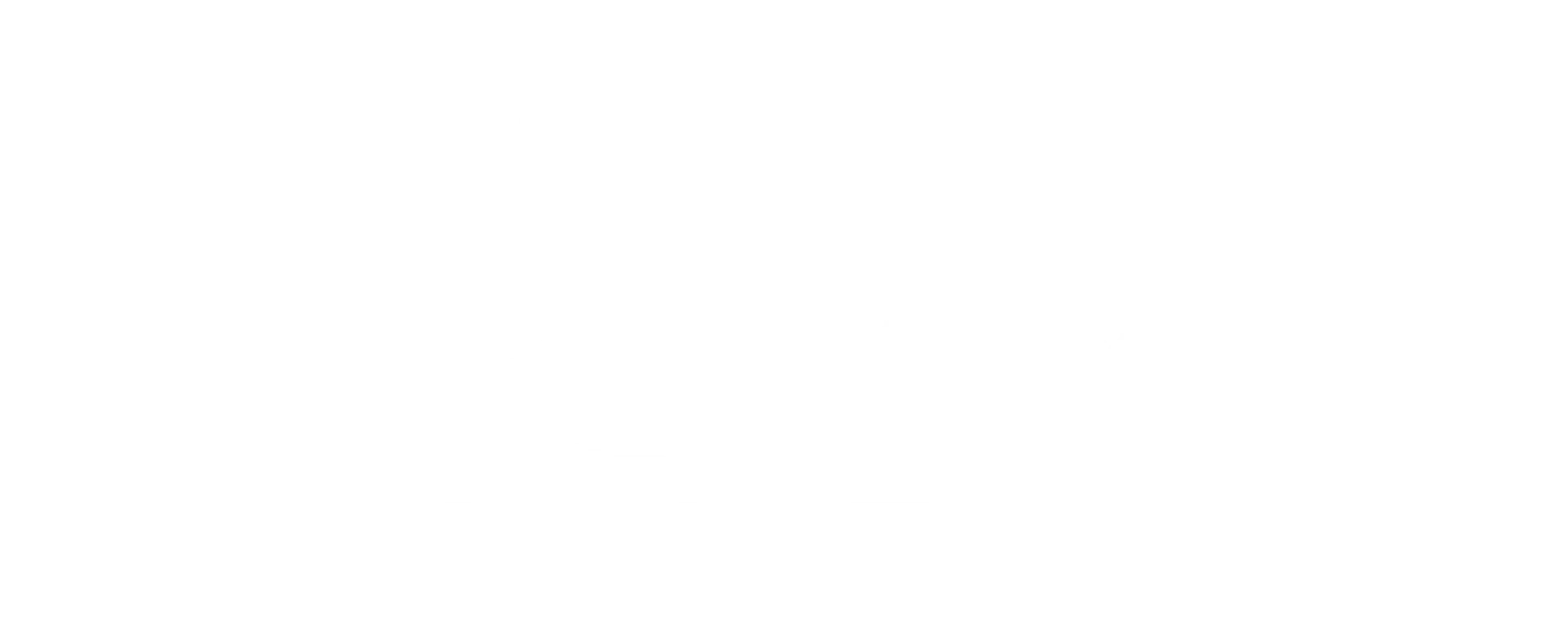 Regency Moving and Storage logo