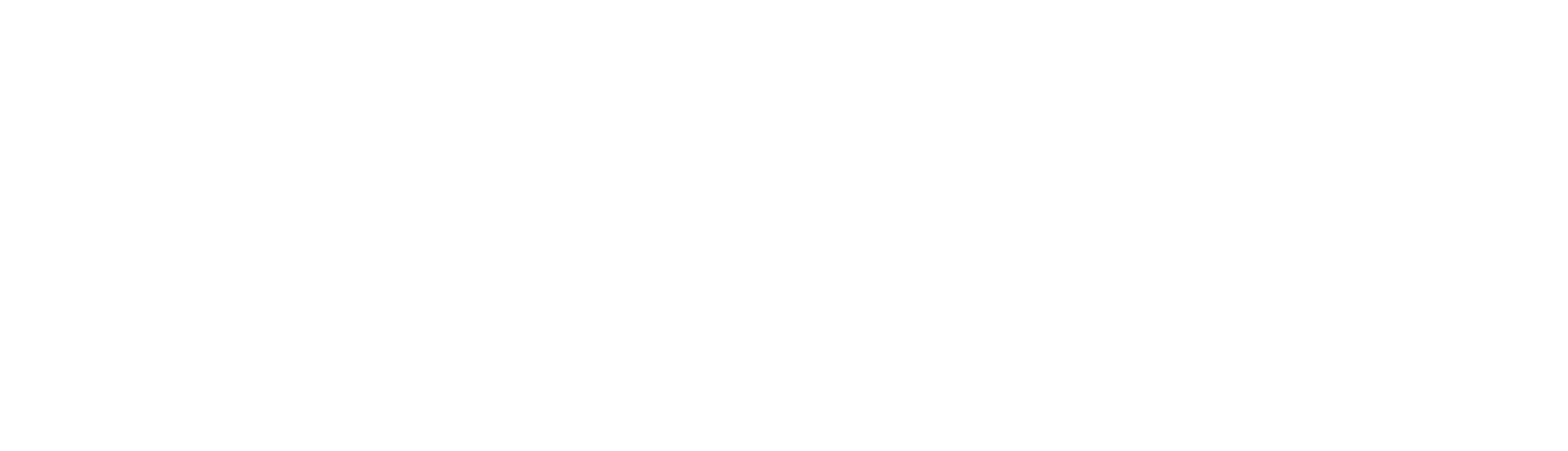 Roadway Moving logo