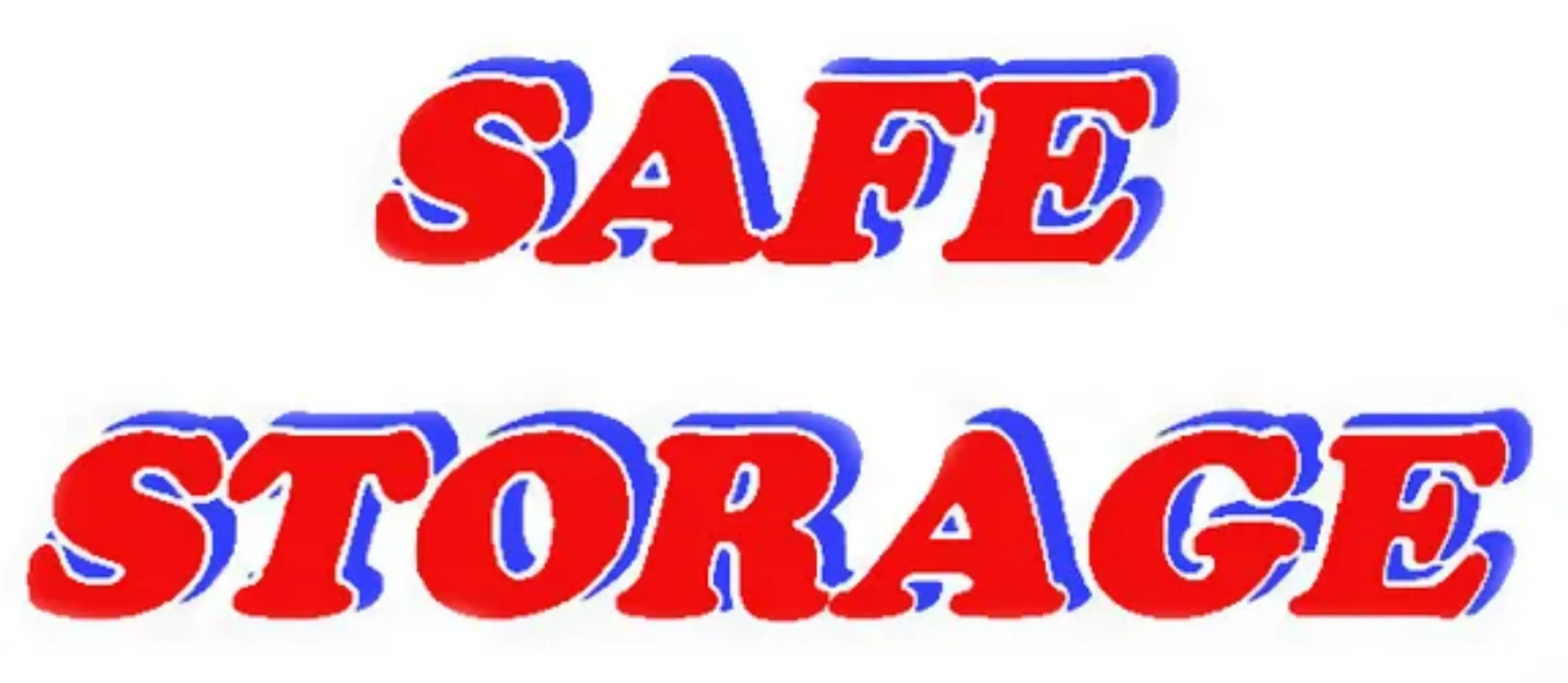 Safe Storage logo