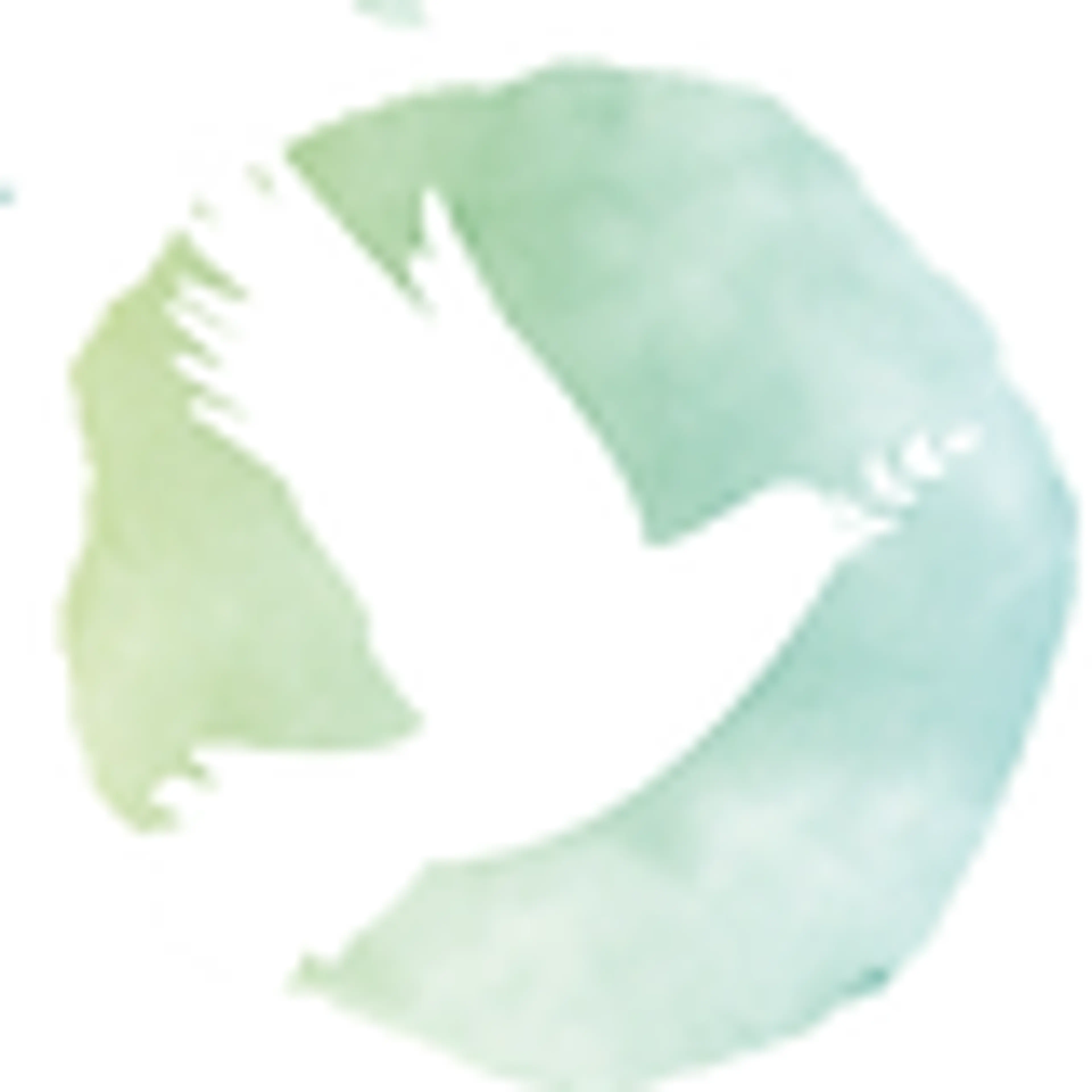 Spirit of Life Power International - Families in Need logo