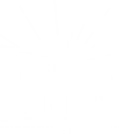 Stellar Movers Logo