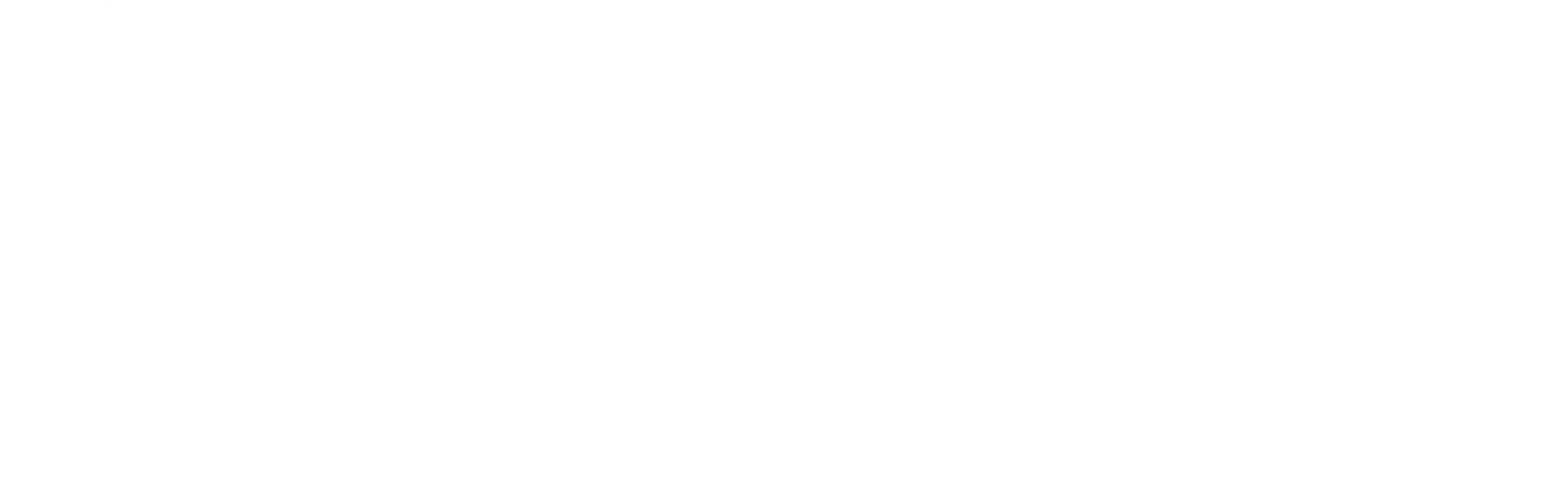 Stevens Worldwide Van Lines logo