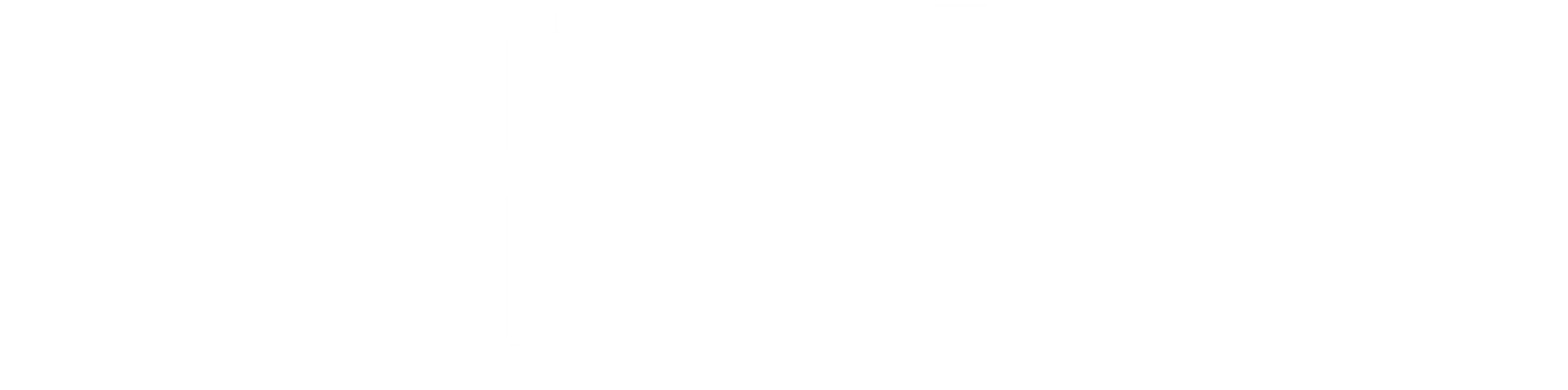 Trail Boss Storage logo