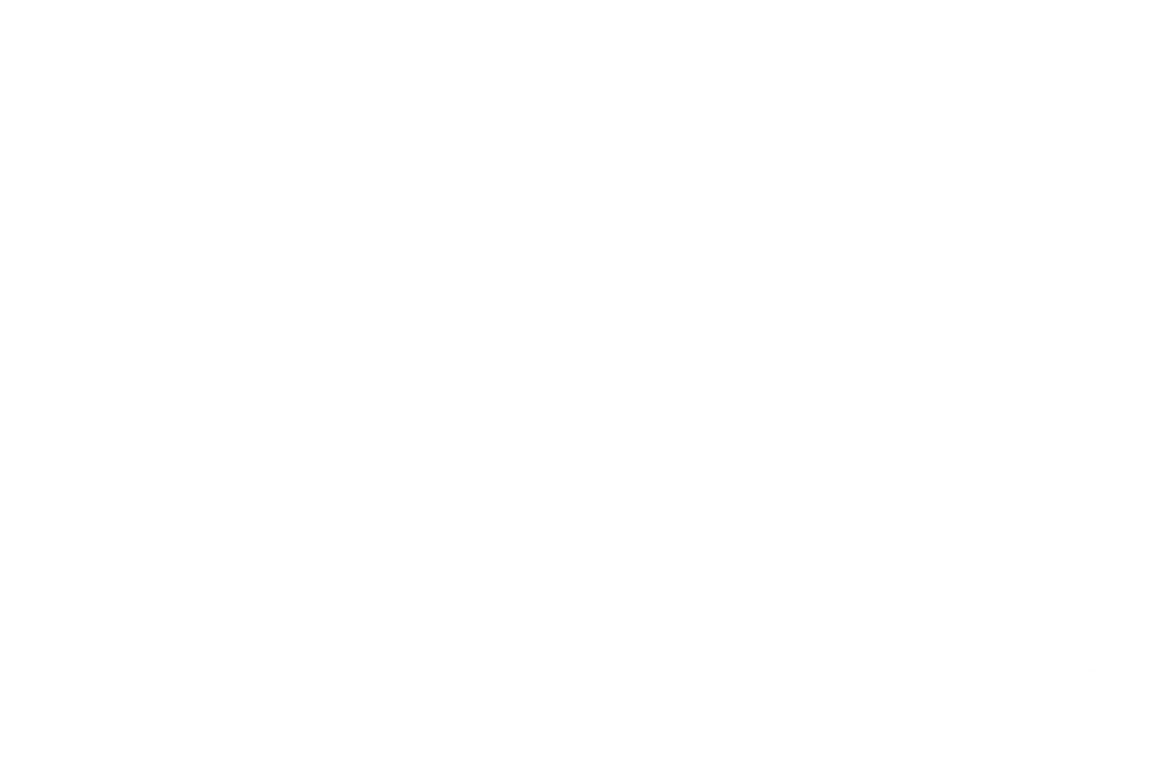 Wagon Movers logo