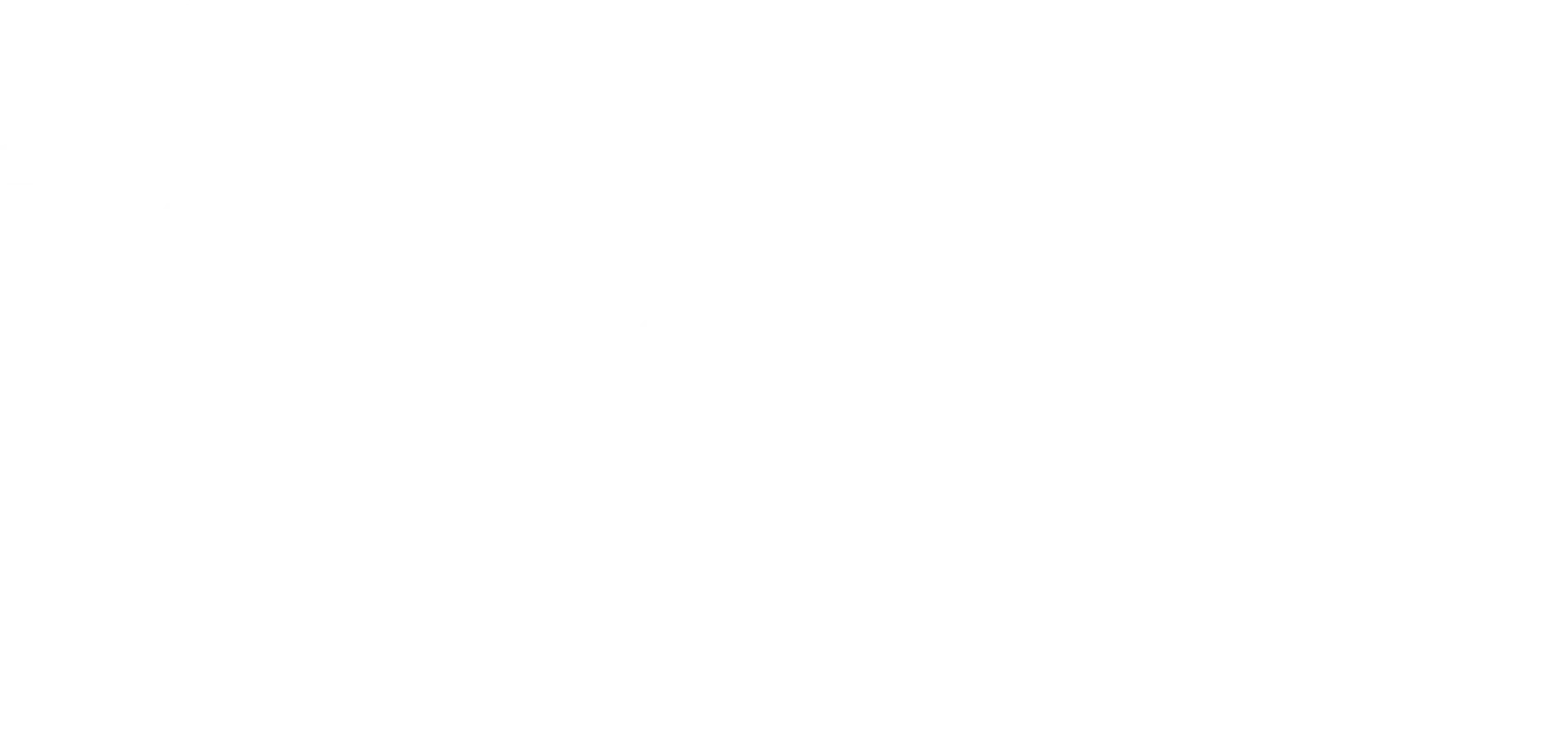 Wayne Moving & Storage Company, Inc. logo