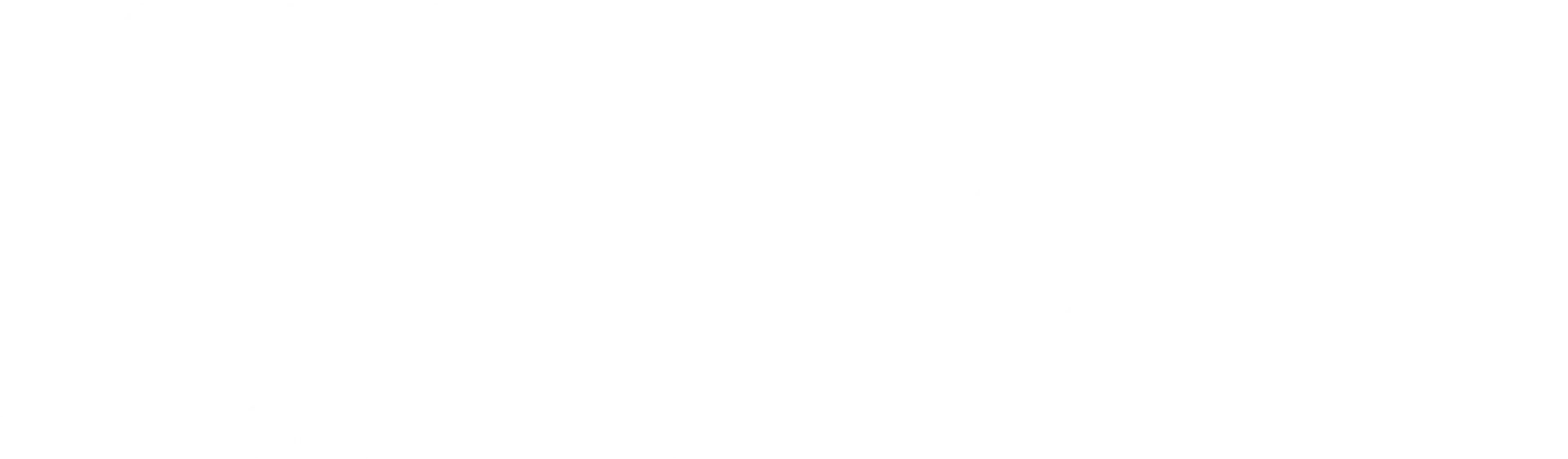 Western Express logo