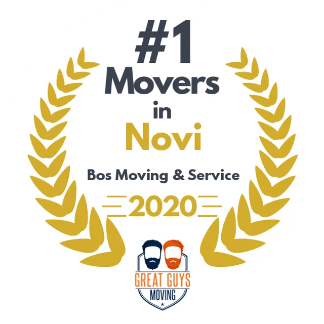 #1 Ranked Movers in Detroit, MI 2020 award