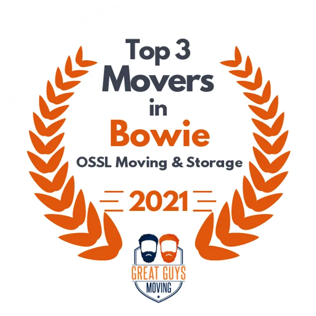 Top 3 Movers in Baltimore, MD 2021 award