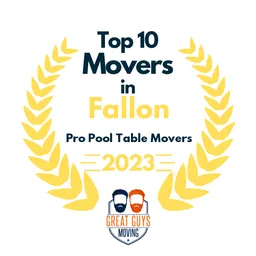 top 10 ranked movers in fallon 2023 pro pool table movers image