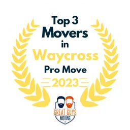 top 3 ranked movers in waycross 2023 pro move brunswick image