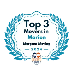 top 3 marion 2024 morgans moving image